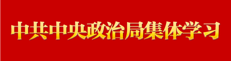 習近平在中共中央政治局第十五次集體學習時強調(diào)貫徹落實新時代黨的建設總要求 進一步健全全面從嚴治黨體系